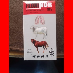 FLOXINOR 10%